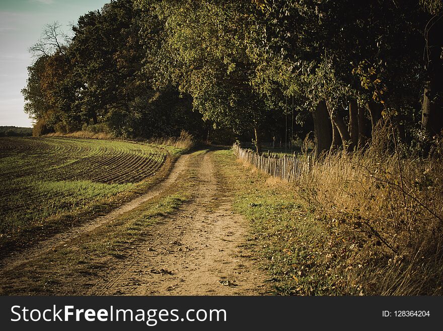 Offroad way in the nature in evening sun light