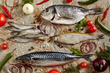 Raw Fish Mix Of Capelin, Mackerel, Dorado, Sardinella Stock Photography Raw Fish Mix Of Capelin, Mackerel, Dorado, Sardinella Stock Photography