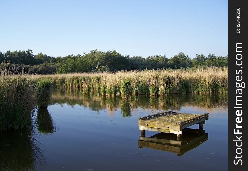 Reflection, Water, Body Of Water, Wetland