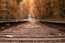 Railway Going Away Trough Beautiful Autumn Woods Royalty Free Stock Photo