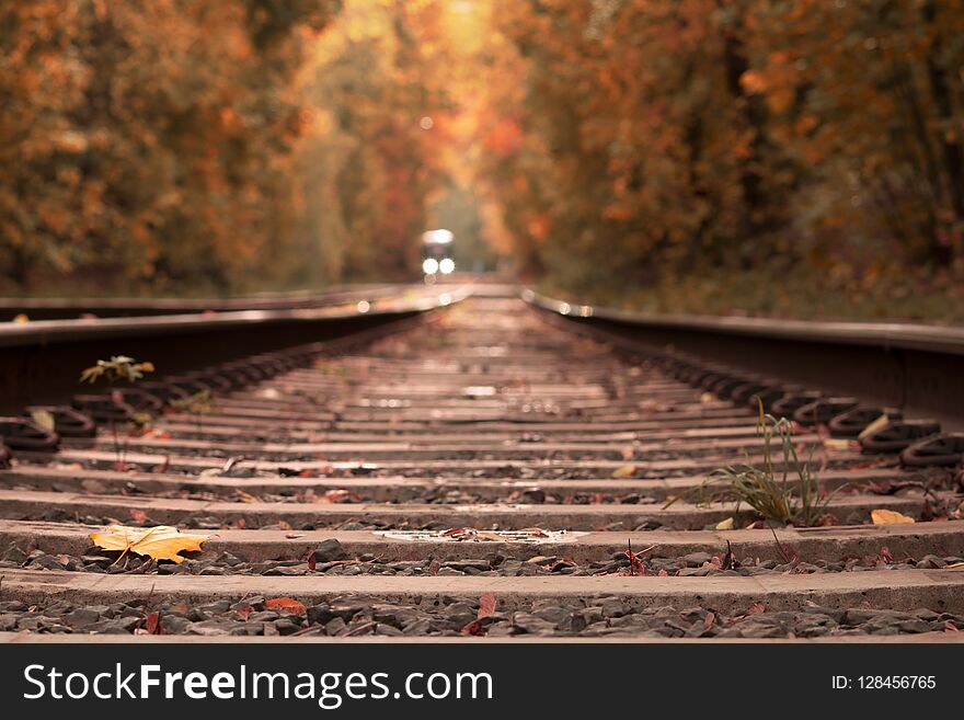 Railway going away trough beautiful autumn woods
