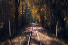 Railway Leaving In The Autumn Forest. Rain. Autumn Background. Seasons. Stock Photos