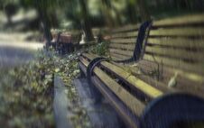 Bench In The Autumn. Rainy Park. Autumn Background. Seasons. Royalty Free Stock Photography