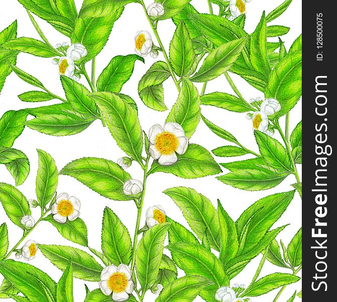 Seamless pattern of hand drawn tea plant illustration,botanical pattern,seamless kitchen pattern