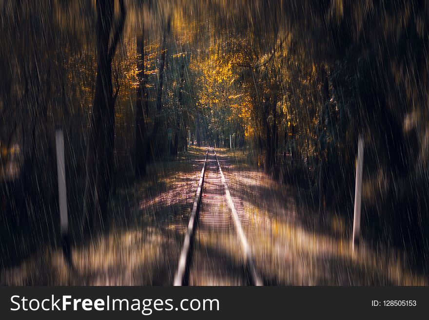 Railway Leaving In The Autumn Forest. Rain. Autumn Background. Seasons.