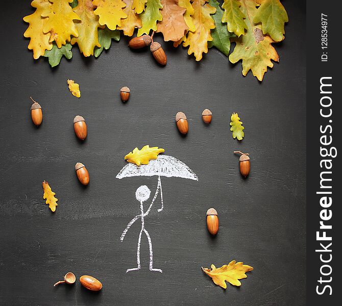 Chalk drawing man with umbrella under acorn rain from oak tree. Blackboard or chalkboard background. Autumn or fall concept. Square. Flatlay.