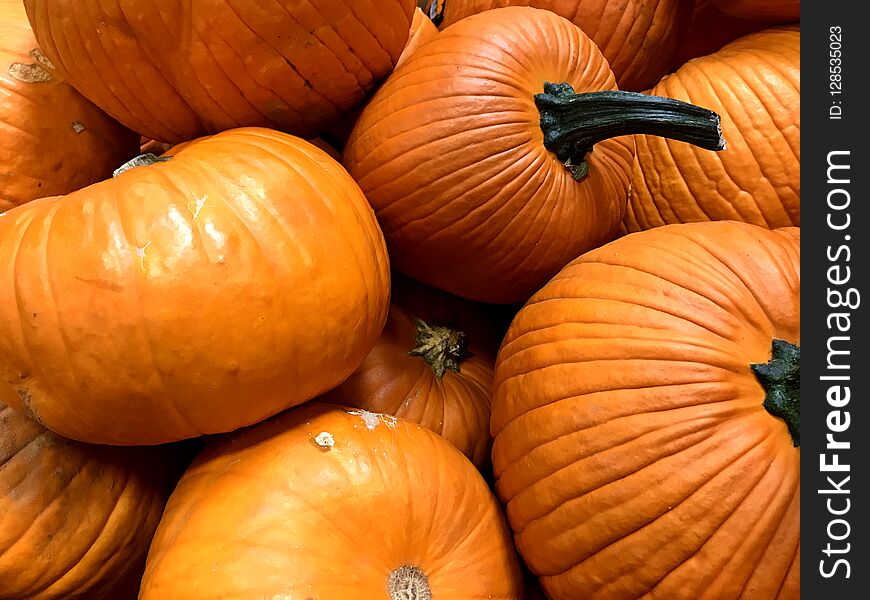 PUMPKIN, Orange, Fall Harvest, Thanksgiving, Medium Size