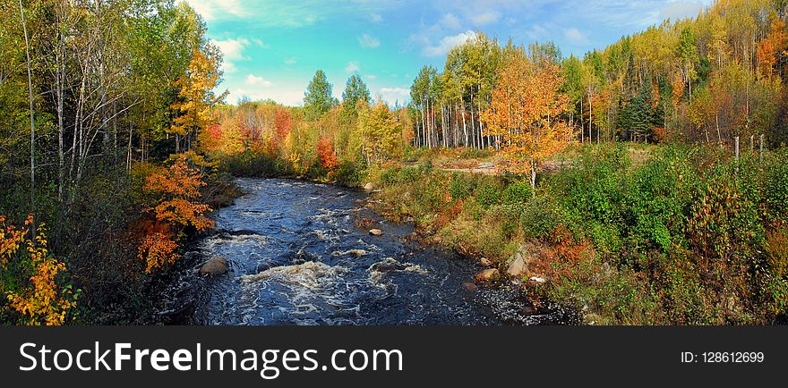 Nature, Ecosystem, Nature Reserve, Wilderness