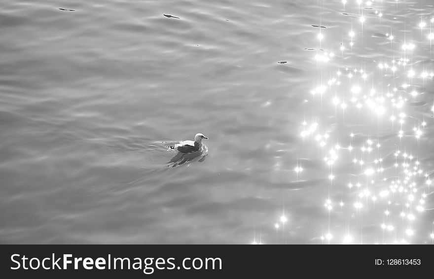 Water, Black And White, Monochrome Photography, Sky