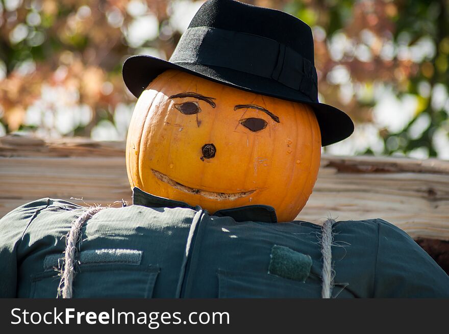 Portrait of halloween scarecrow with pumpkin head