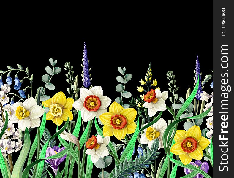 Border With Daffodils And Wild Flowers. Vector.