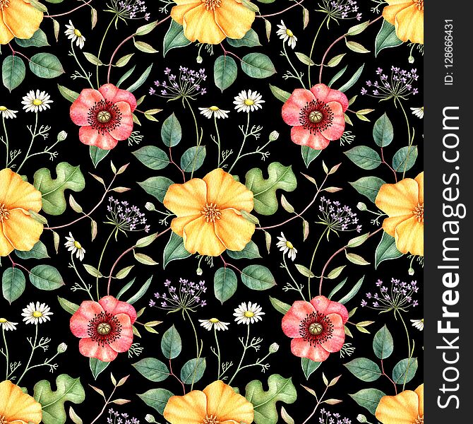 Seamless floral pattern with wildflowers and herbs: poppy, chamomile, and others. Hand drawn watercolor illustration for fabric, wrapping, wallpapers and other design. Botanical print on black background. Seamless floral pattern with wildflowers and herbs: poppy, chamomile, and others. Hand drawn watercolor illustration for fabric, wrapping, wallpapers and other design. Botanical print on black background.