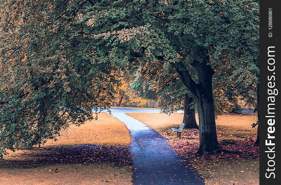 Autumn colors a park with a bench and walking track in slottskogen Gothenburg Sweden