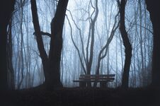 Wooden Bench And Foggy Autumn Forest Stock Photo