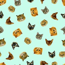 Seamless Pattern With Small Cat Snouts On A Coloured Background. Watercolour. Hand Drawing. Great For Fabric, Wrapping Paper Royalty Free Stock Photo Seamless Pattern With Small Cat Snouts On A Coloured Background. Watercolour. Hand Drawing. Great For Fabric, Wrapping Paper Royalty Free Stock Photo