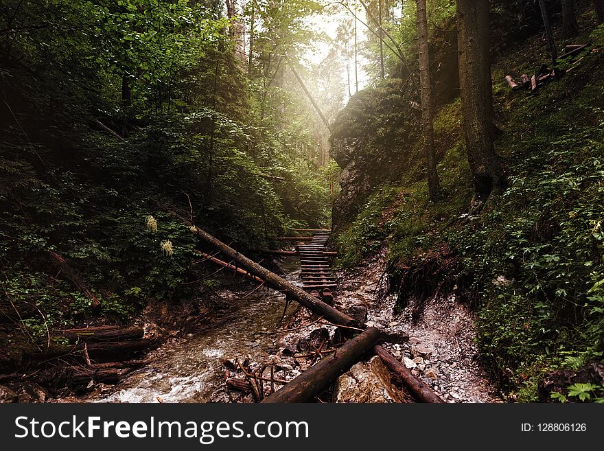 Beautiful Landscape Mountain River Sucha Bela Canyon Slovak Para