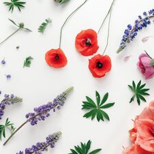 Free Floral Pattern White Background Flat Lay Top View Pattern Flowers Stock Photo - 128825320