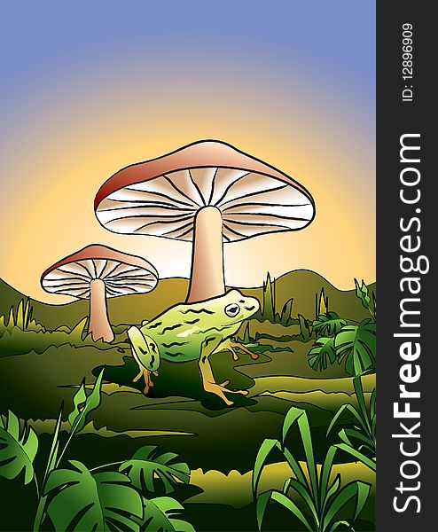 Frog under the mushroom, the natural environment. Frog under the mushroom, the natural environment