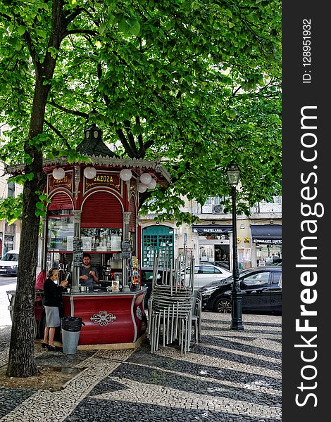 Public Space, Tree, Plant, Street