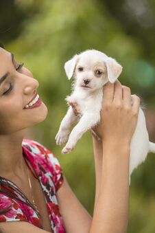 Young Woman With Puppy Royalty Free Stock Photo