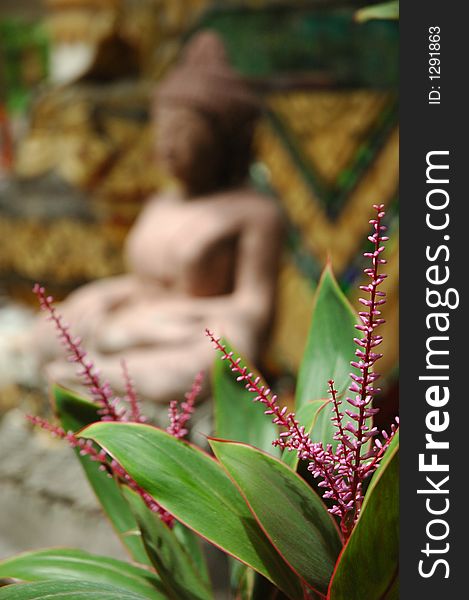 Old buddha statue behind some purple flowers at a Buddhist temple in Thailand.