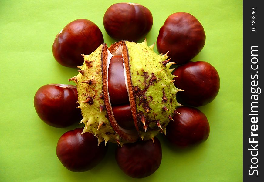 Autumn chestnuts (twin) in shell inside circle chestnuts on the green background; Castanea