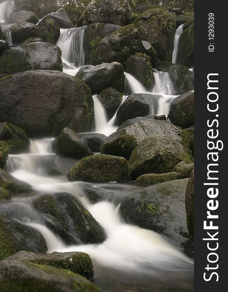 Moss covered rocks and water flowing through a forest in Dartmoor uk