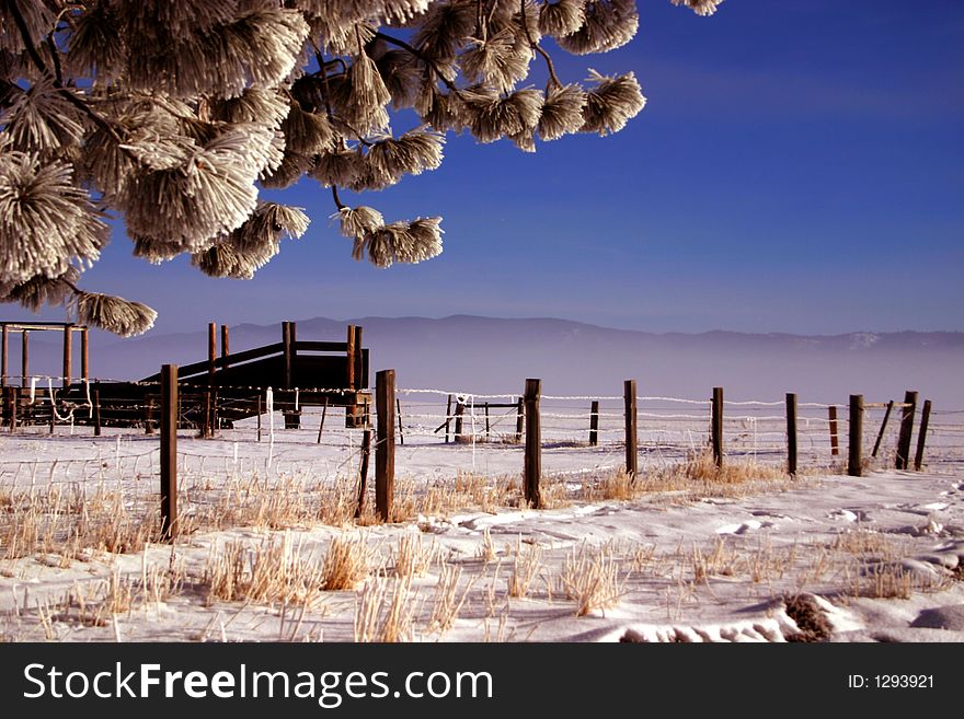 Sub - zero winter morning in central Idaho. Sub - zero winter morning in central Idaho