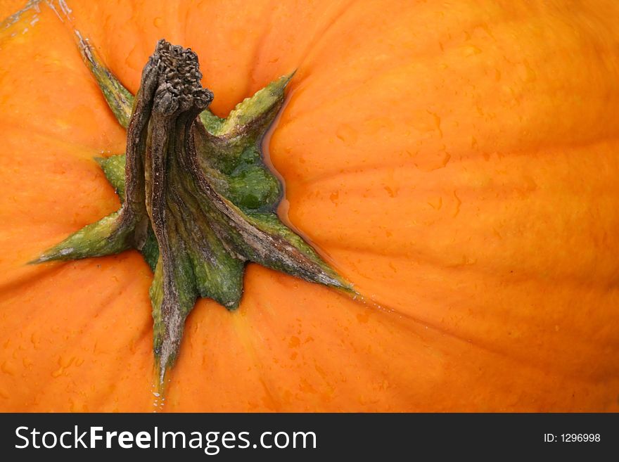 A Close-up of a Pumpkin Fills the Frame with an Orange Background. A Close-up of a Pumpkin Fills the Frame with an Orange Background.