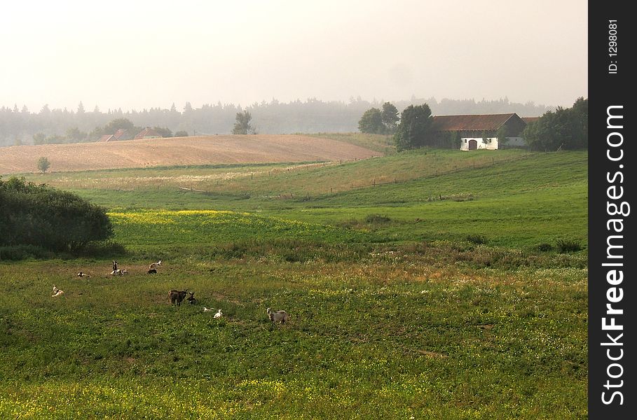 Countryside foggy scene with farm