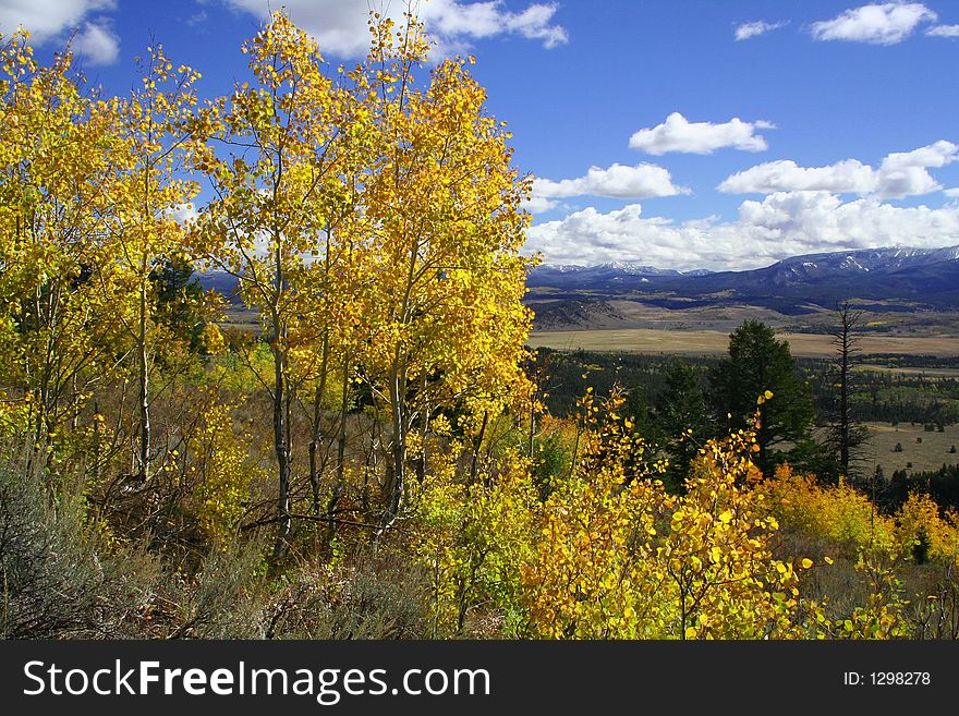 Yellow Aspens above mountain valley