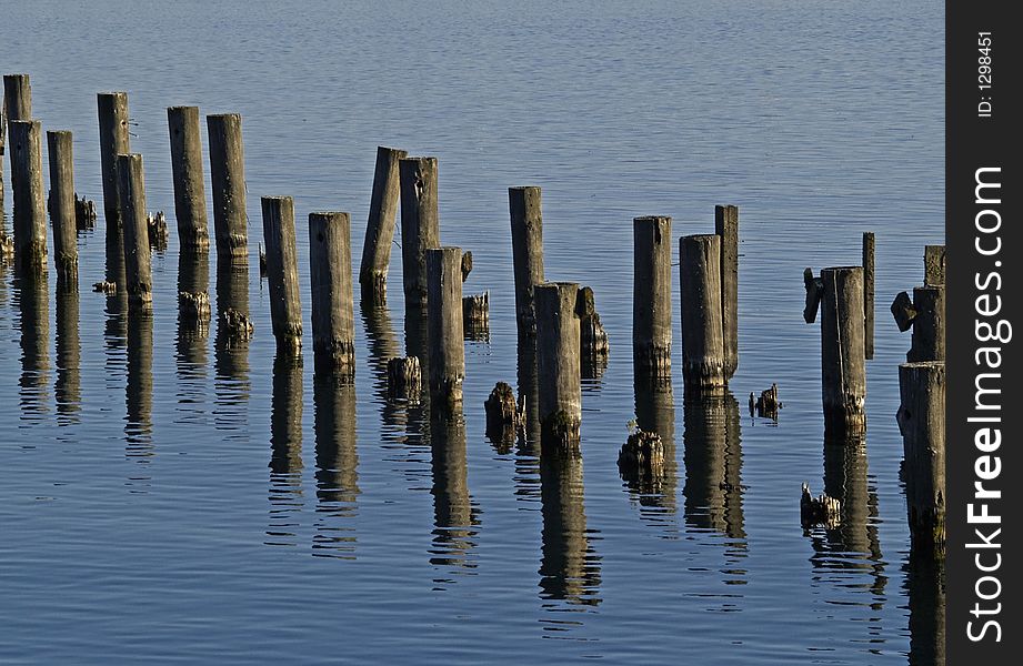 This image of the pilings in the water was taken in the Flathead Valley of western MT.