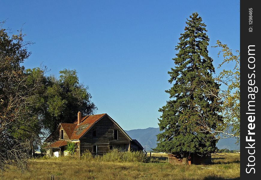 This image of the old, abandoned home in the trees was taken in western MT. This image of the old, abandoned home in the trees was taken in western MT.