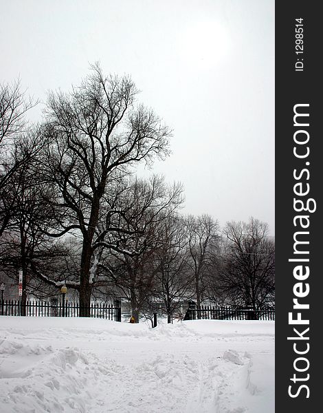 Boston in Snow