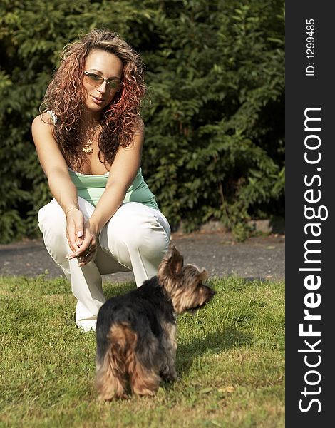 Young woman with little dog - yorkshire. Young woman with little dog - yorkshire.