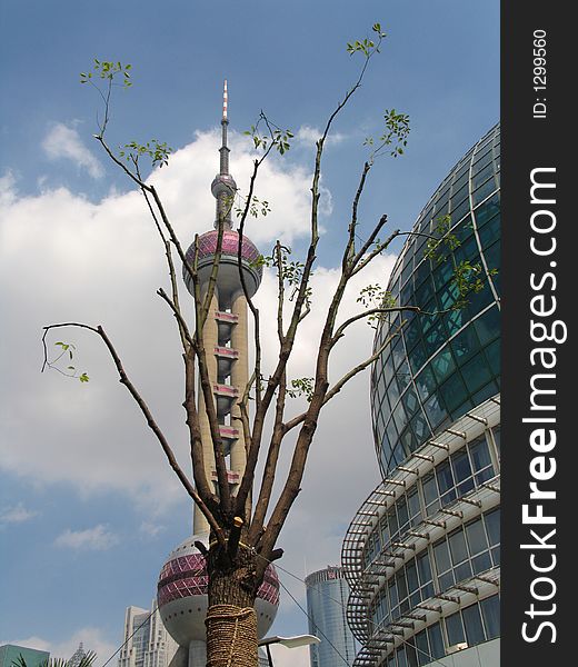 Buildings at Shanghai, convention center and pearl TV tower. Buildings at Shanghai, convention center and pearl TV tower