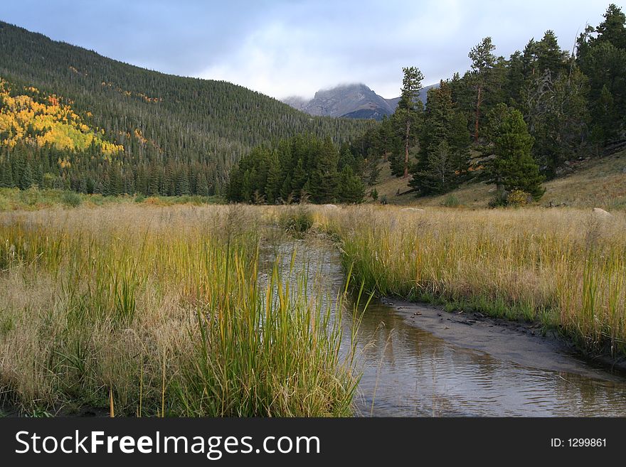 Meadow with stream below mountain