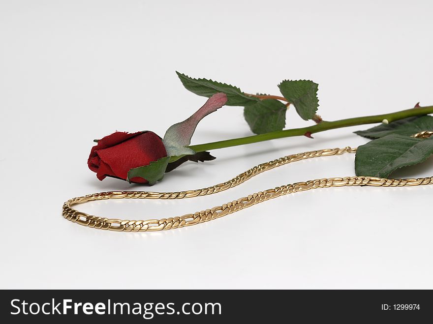 Gold chain and red rose in a white background