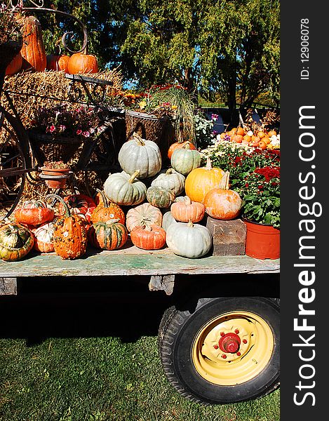 Pumpkins on display on flatbed truck