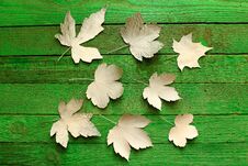 Green Boards And White Leaves Royalty Free Stock Images
