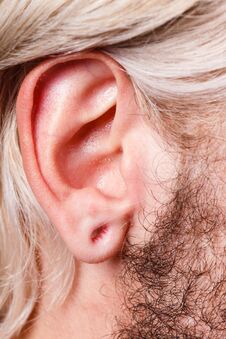 Stretched Man Ear After Tunnel Piercing Stock Photo