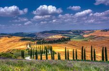 Cypress Trees And Meadow With Typical Tuscan House. Royalty Free Stock Photo