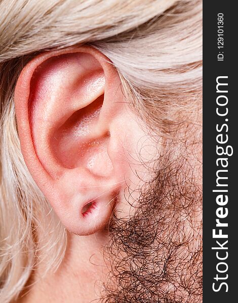 Stretched lobe piercing, grunge concept. Pierced man ear without black plug tunnel. Stretched lobe piercing, grunge concept. Pierced man ear without black plug tunnel