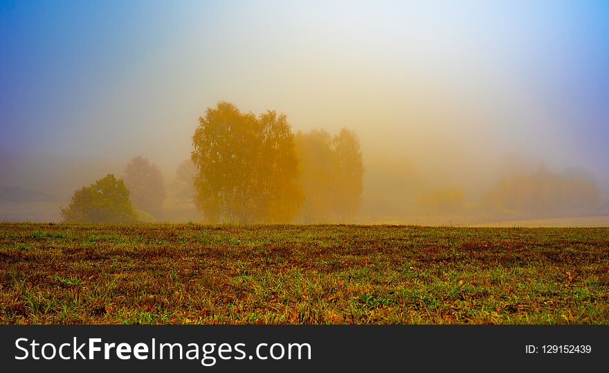 Nature of moscow region 15.10.2018.Autumn forest in the fog.Sergiev Posad environment.