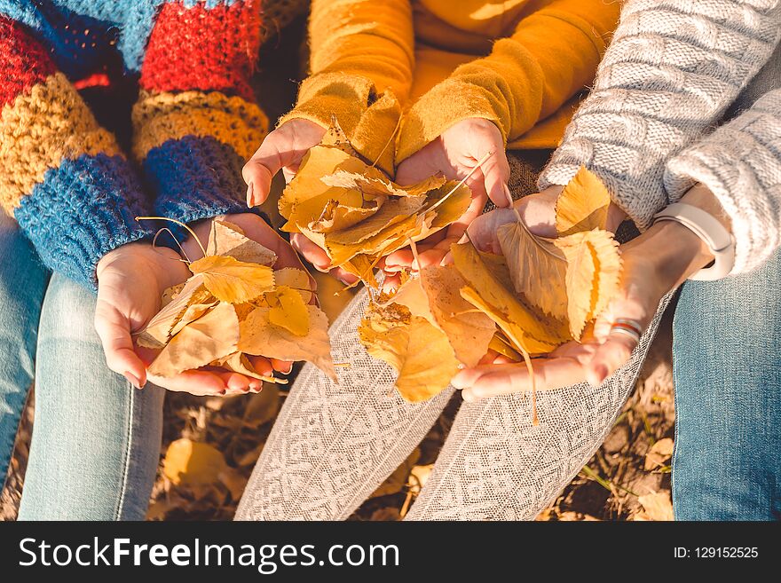 Women in colorful knitted clothing hold autumn yellow leaves in their hands. Funny spend time with friends.