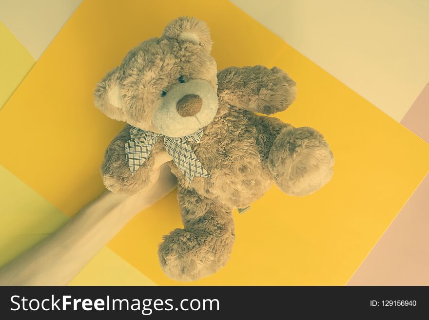 Hand holding teddy bear on multi color background creative concept f