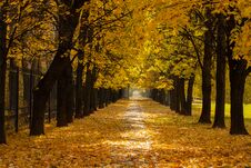 Colorful Autumn With Road Covered With Heap Leaves In Park. Stock Photography