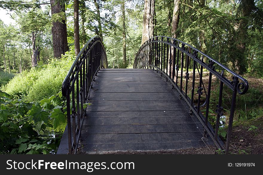 Nature, Path, Woodland, Tree