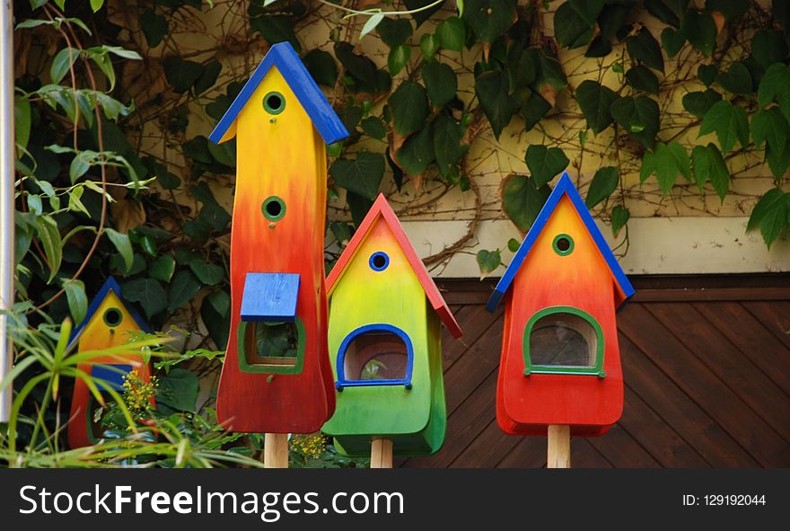 Bird Feeder, Play, Birdhouse