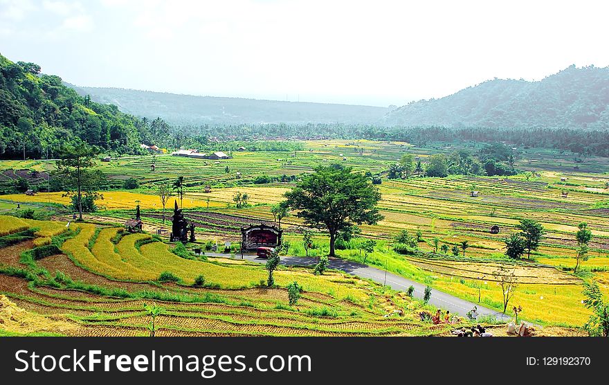 Field, Agriculture, Paddy Field, Hill Station